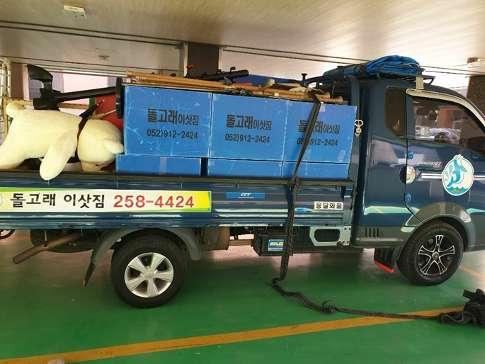 돌고래이사짐 PC 이미지 783381