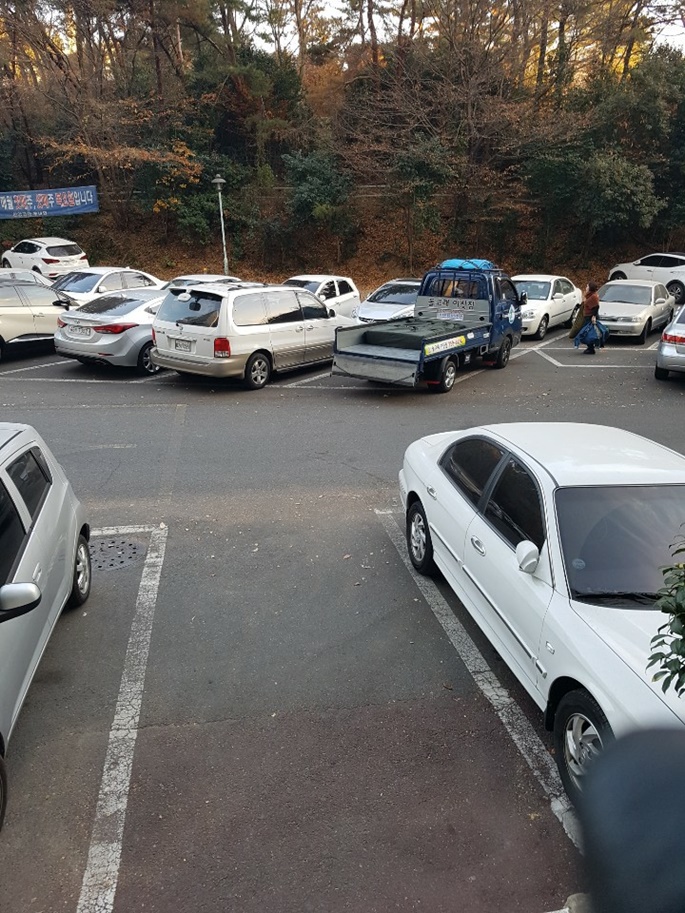 돌고래이사짐 PC 이미지 783385