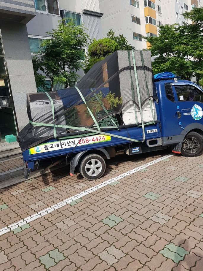 돌고래이사짐 PC 이미지 783392