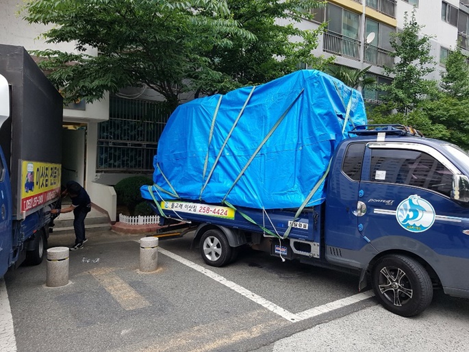 돌고래이사짐 PC 이미지 783394